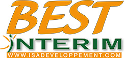 best-interim-logo